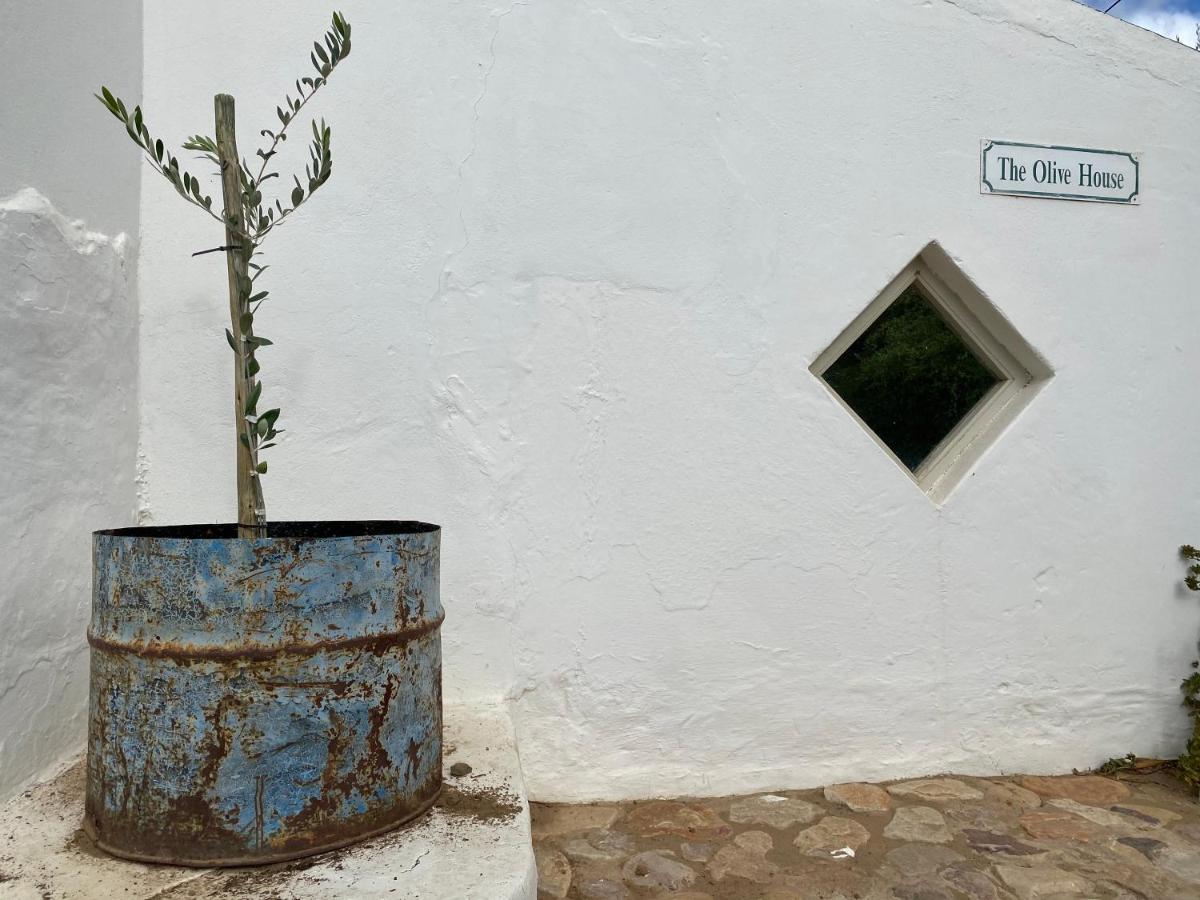The Olive House, Prince Albert Bagian luar foto