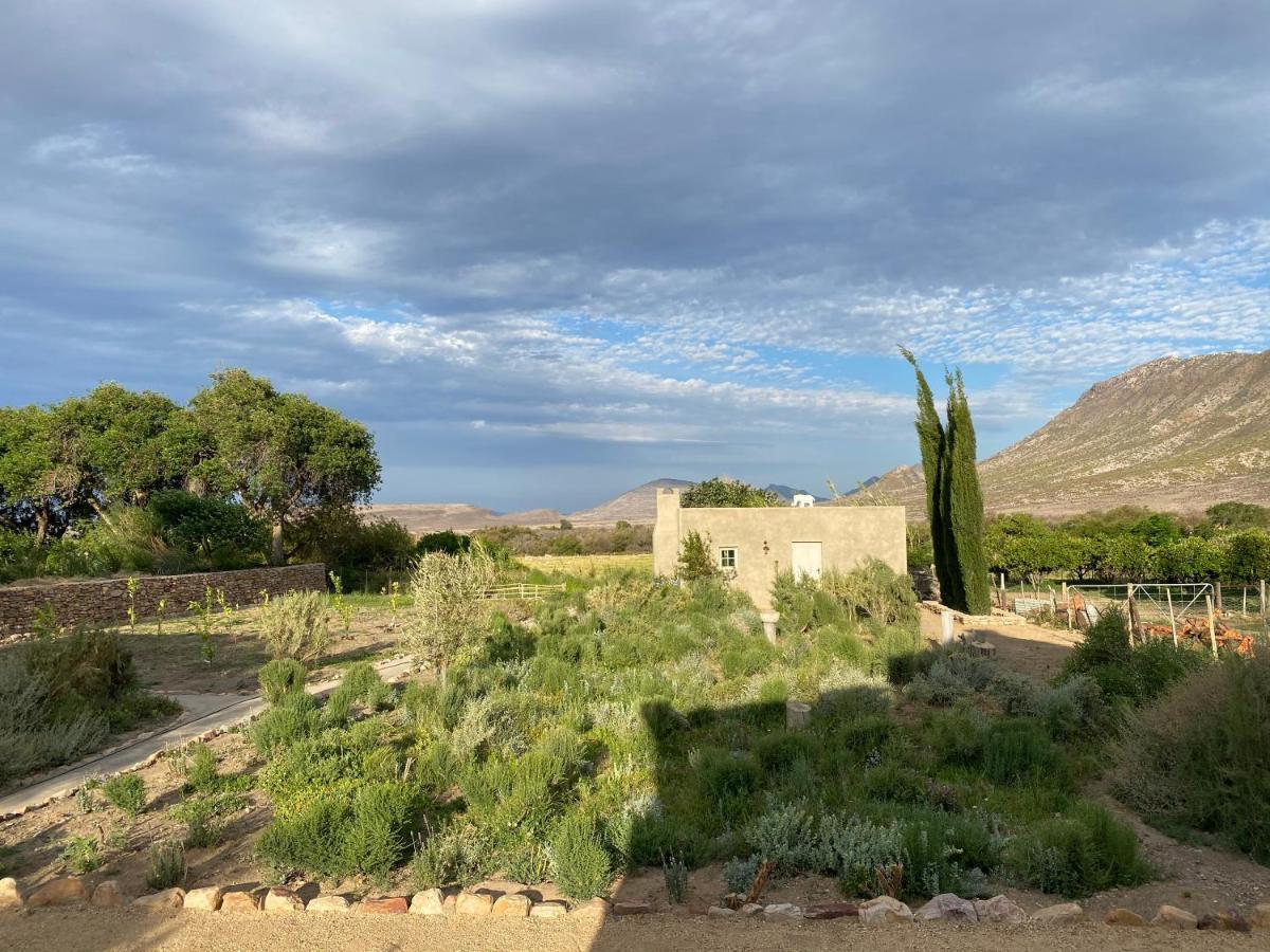 The Olive House, Prince Albert Bagian luar foto