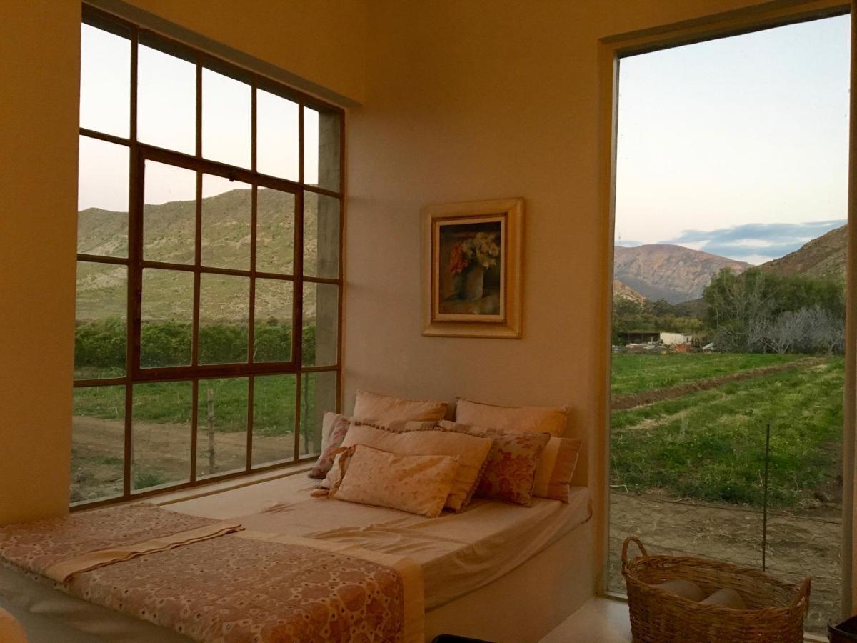 The Olive House, Prince Albert Bagian luar foto