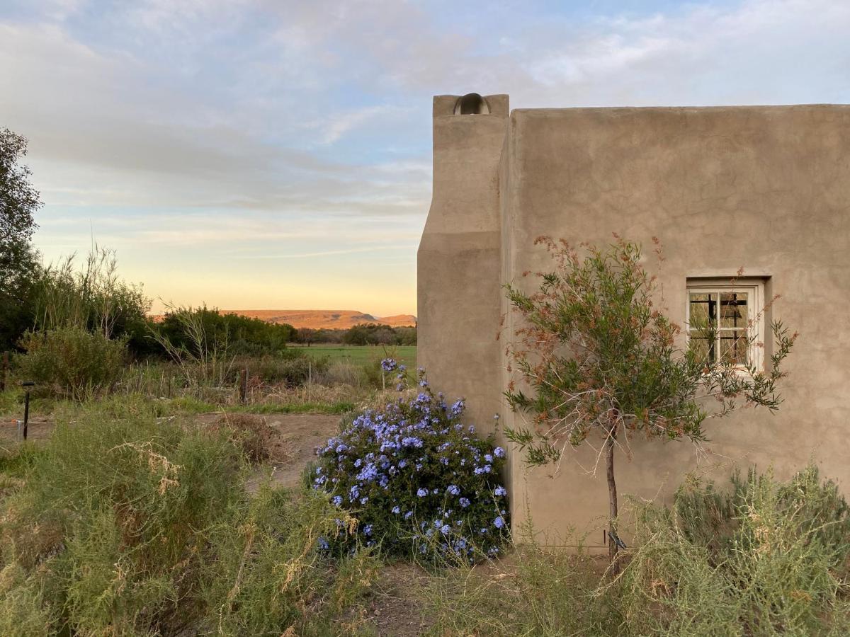 The Olive House, Prince Albert Bagian luar foto