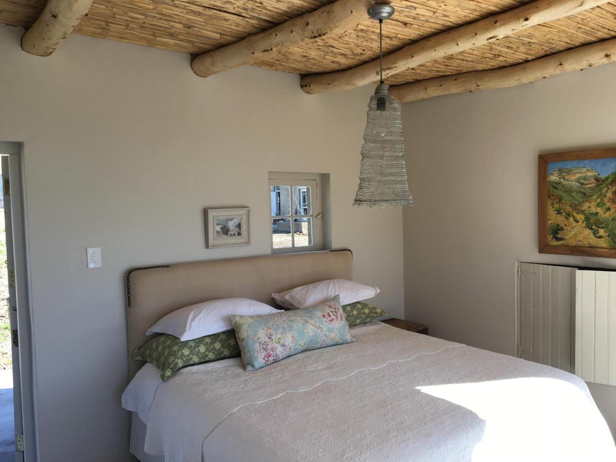 The Olive House, Prince Albert Bagian luar foto