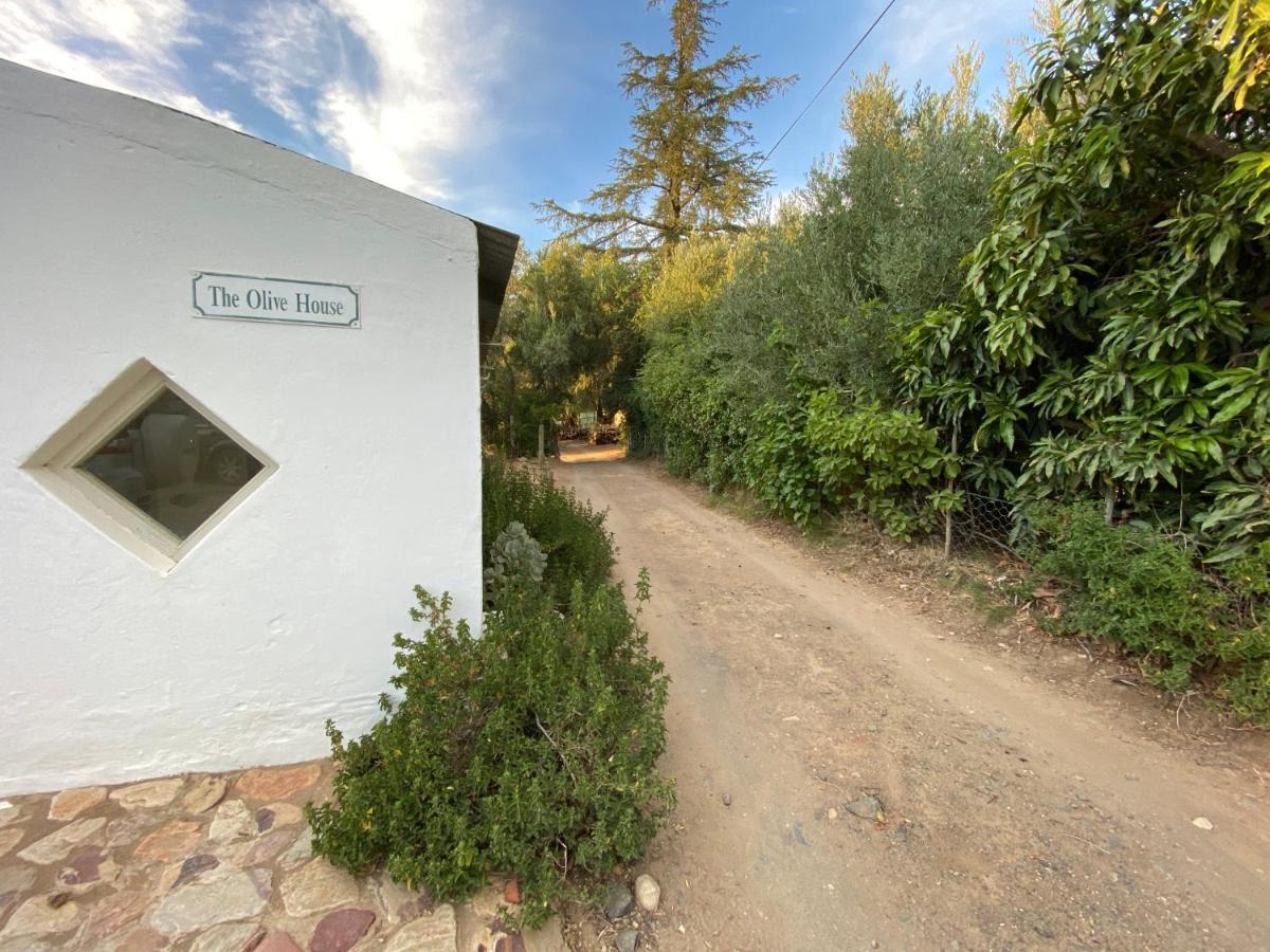 The Olive House, Prince Albert Bagian luar foto