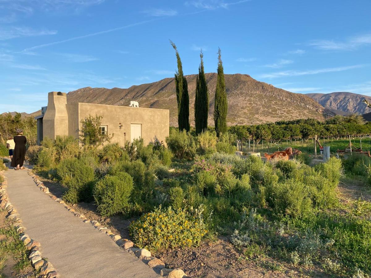 The Olive House, Prince Albert Bagian luar foto