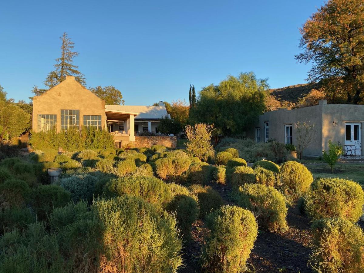 The Olive House, Prince Albert Bagian luar foto
