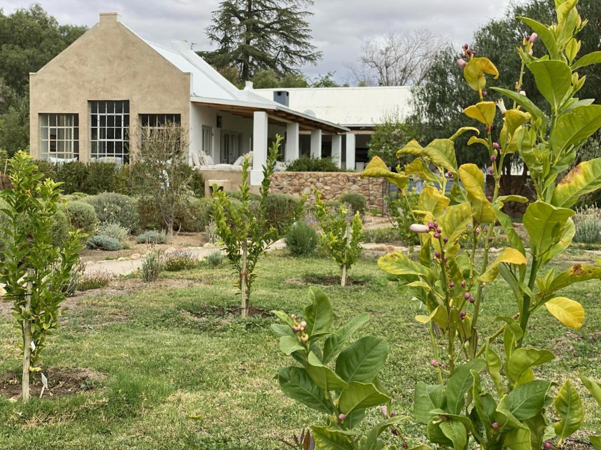The Olive House, Prince Albert Bagian luar foto