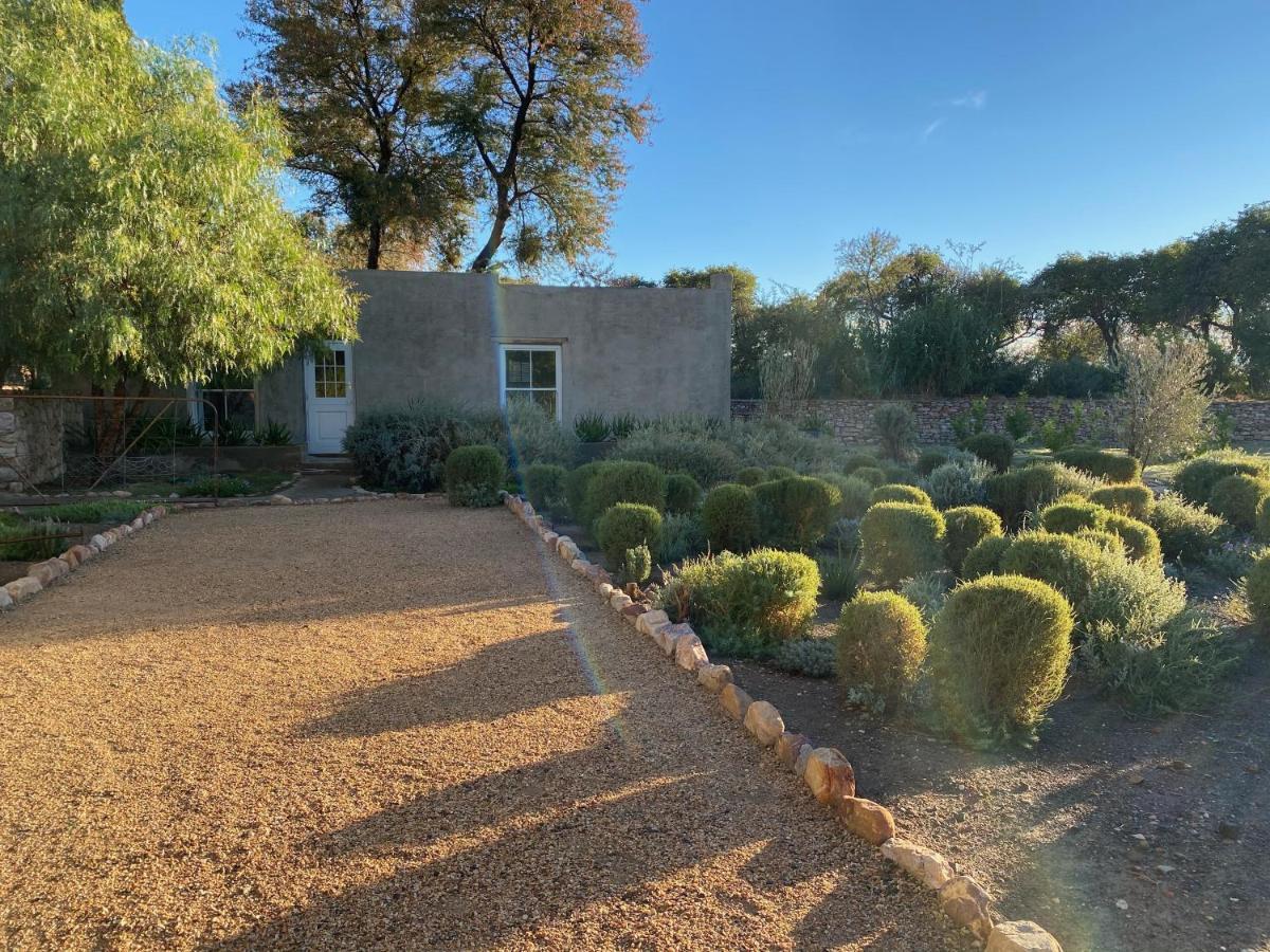The Olive House, Prince Albert Bagian luar foto