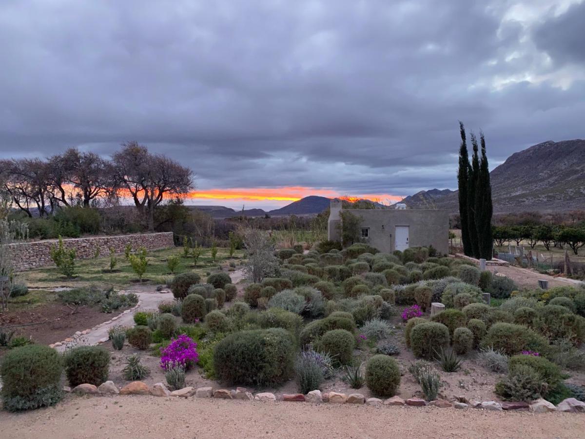 The Olive House, Prince Albert Bagian luar foto