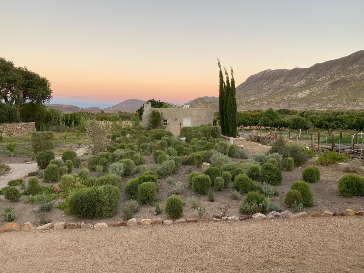 The Olive House, Prince Albert Bagian luar foto