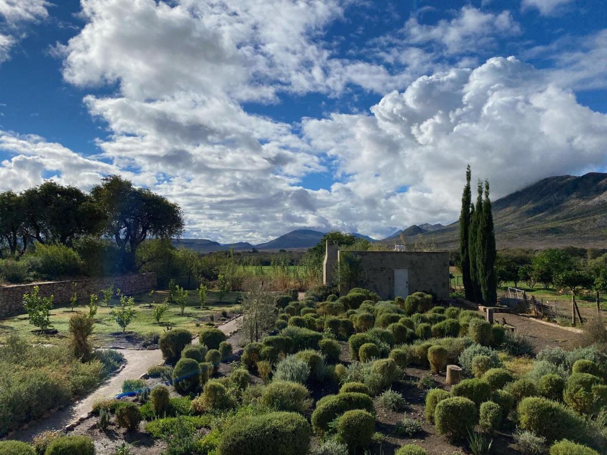 The Olive House, Prince Albert Bagian luar foto