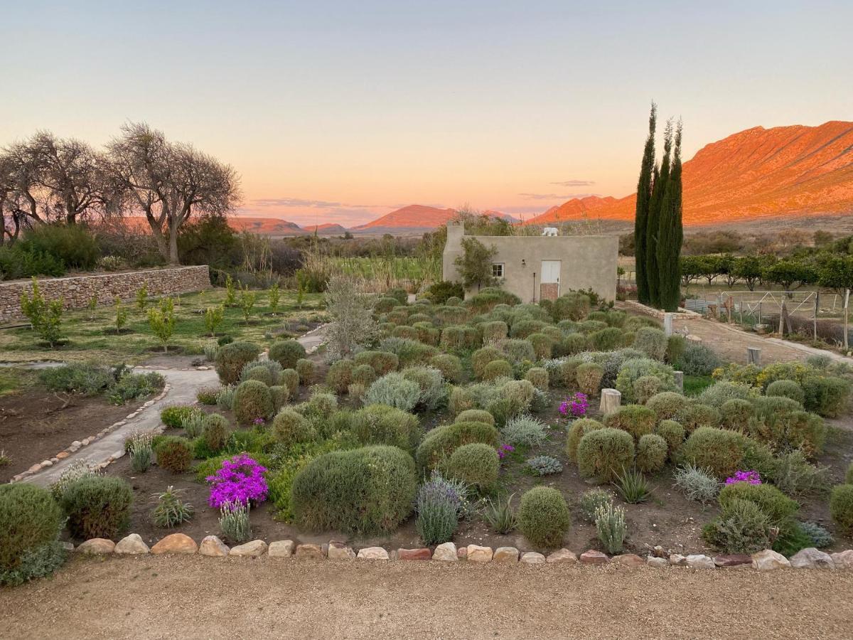 The Olive House, Prince Albert Bagian luar foto