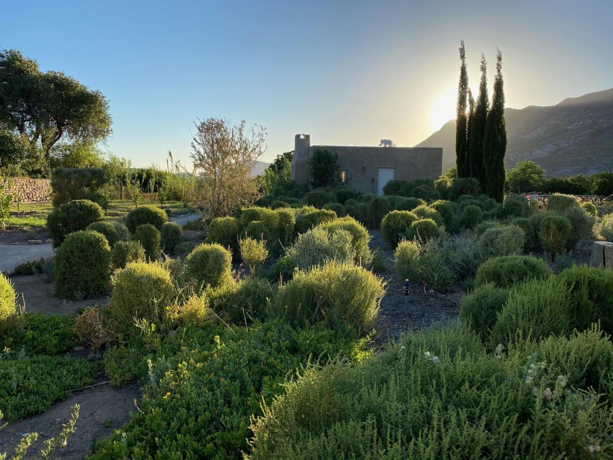 The Olive House, Prince Albert Bagian luar foto
