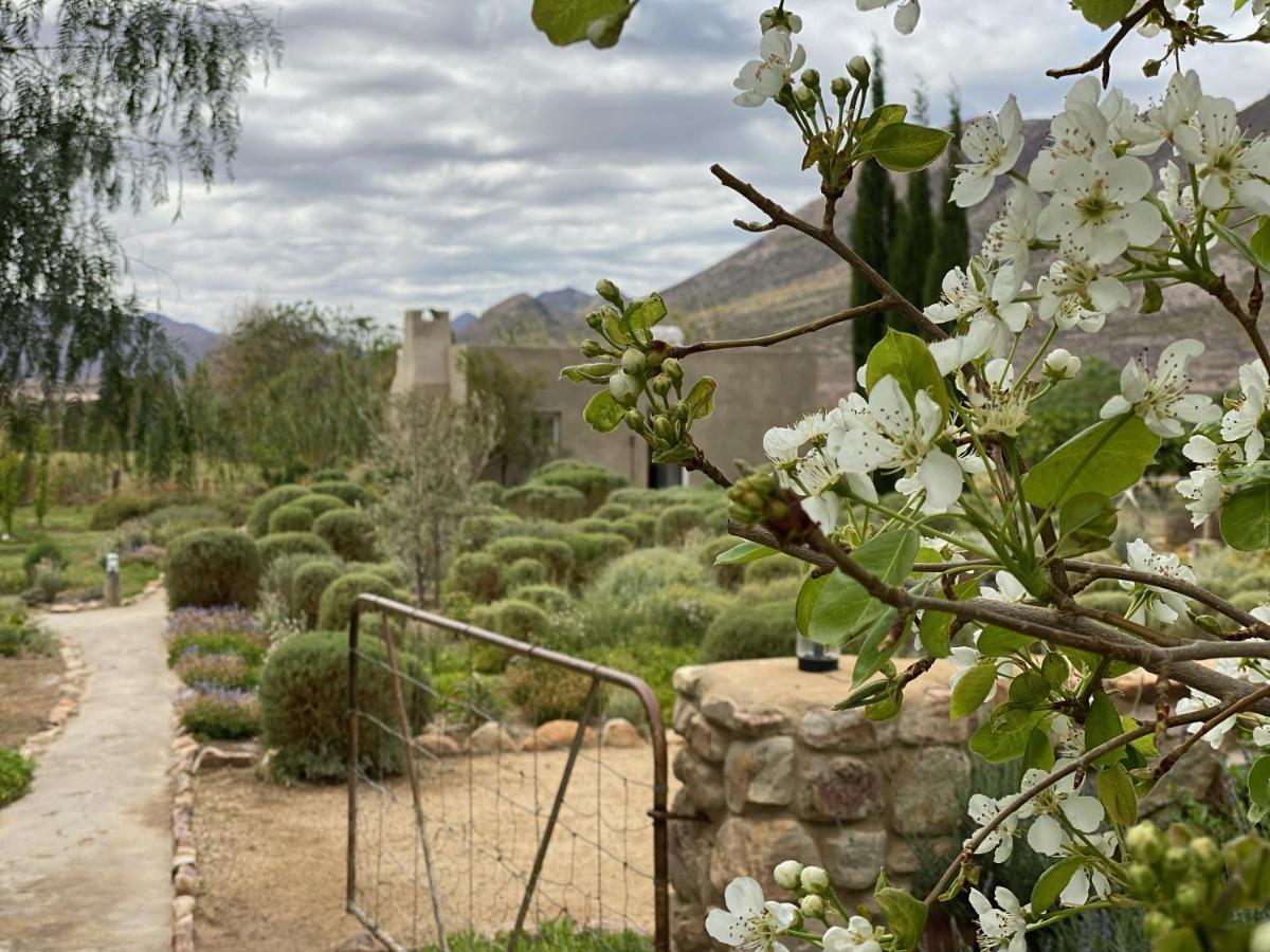 The Olive House, Prince Albert Bagian luar foto