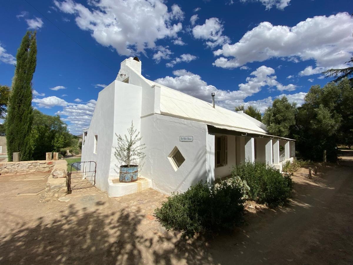 The Olive House, Prince Albert Bagian luar foto
