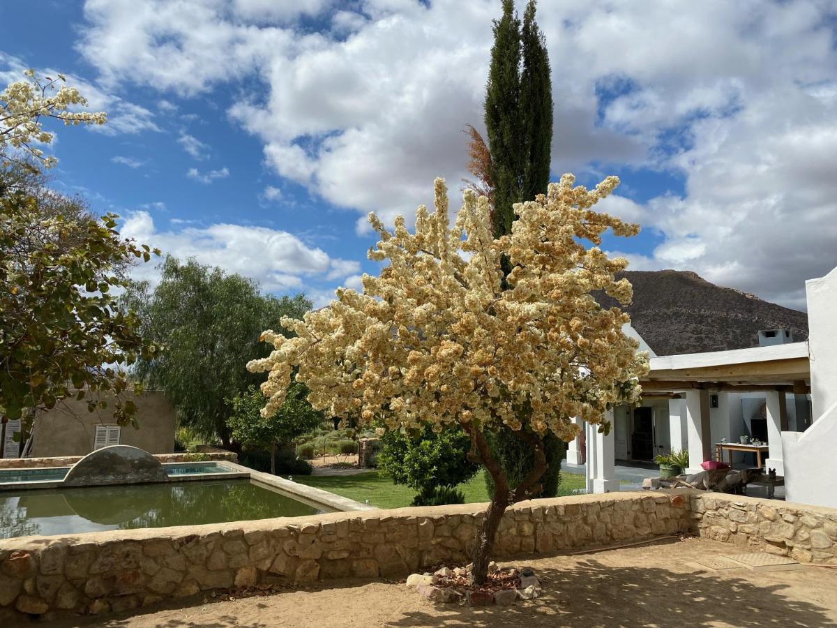 The Olive House, Prince Albert Bagian luar foto